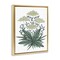 Stupell Industries New Roots Vintage Sketch Floating Frame, design by Cecilia Battaini